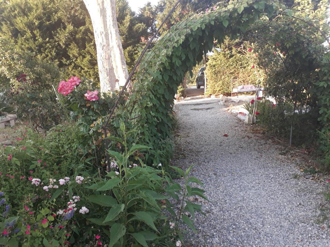 Aux Roses De L'Etang Capestang Exterior foto