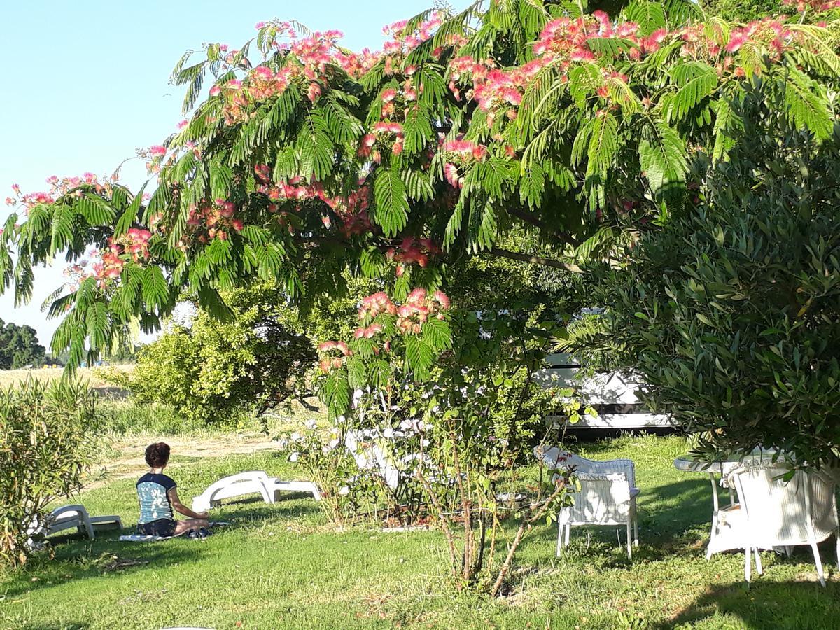 Aux Roses De L'Etang Capestang Exterior foto