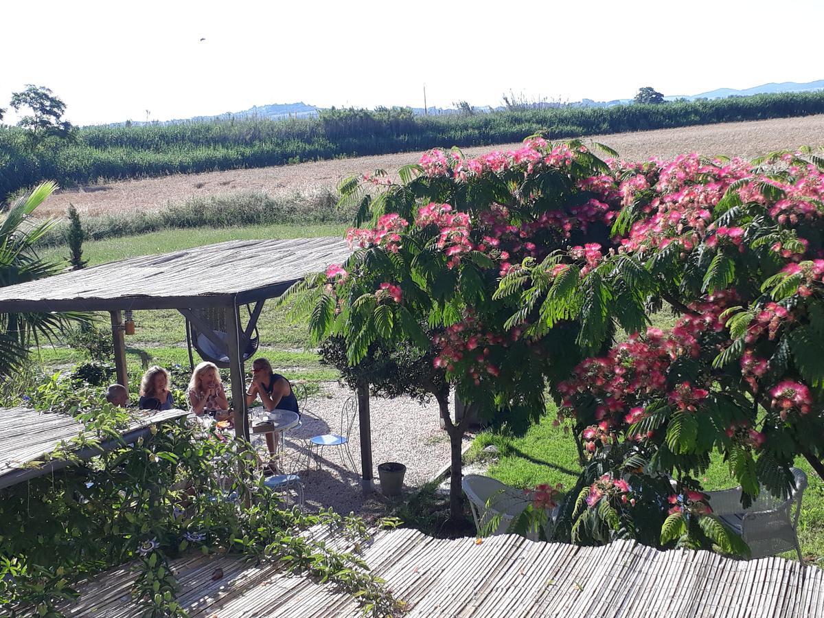 Aux Roses De L'Etang Capestang Exterior foto
